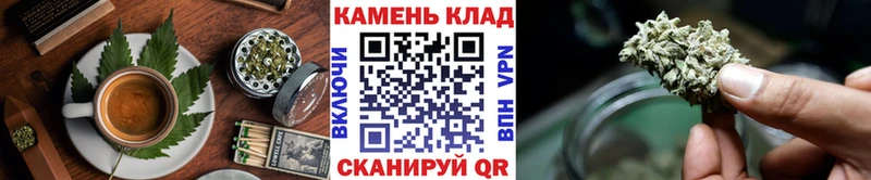 Купить  Ульяновск  Canna-Cookies конопля 