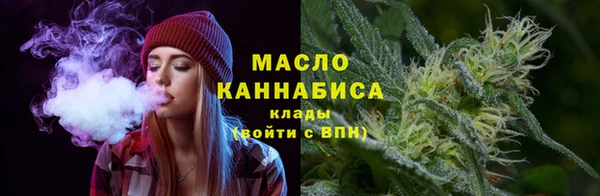 дмт Кинешма