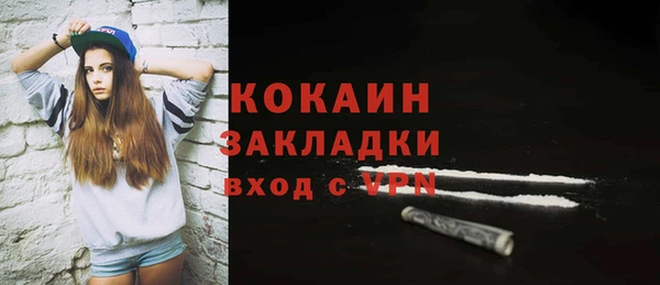 шишки Киренск