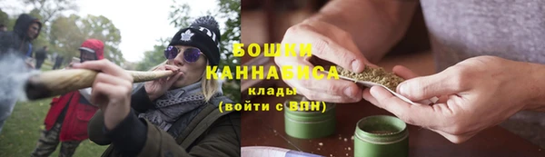 шишки Киренск