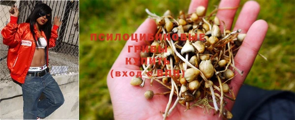 шишки Киренск