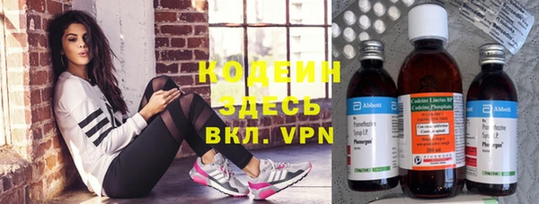шишки Киренск