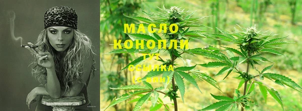 дмт Кинешма