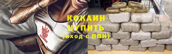 дмт Кинешма