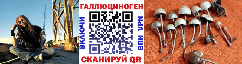 Купить  Ульяновск  Галлюциногенные грибы MAGIC MUSHROOMS 